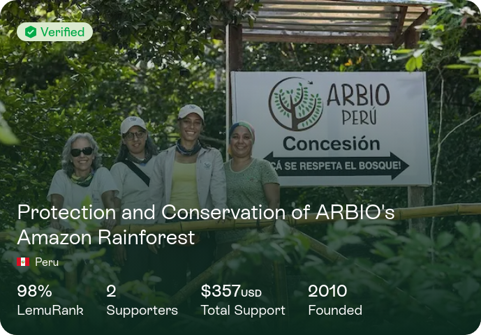 bosque-amazonico-de-arbio